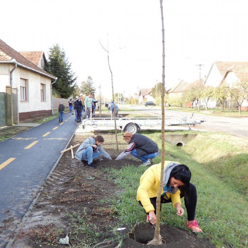 Közösségi faültetés Berettyóújfaluban 63